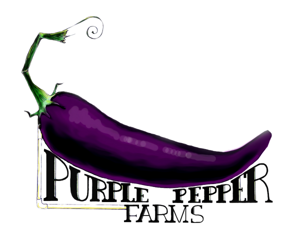 Purple Pepper Farms